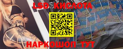 ГАЛЛЮЦИНОГЕННЫЕ ГРИБЫ Гай