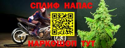 твердый Гусев