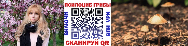 ссылка на мегу как зайти  Железноводск  Псилоцибиновые грибы Magic Shrooms 