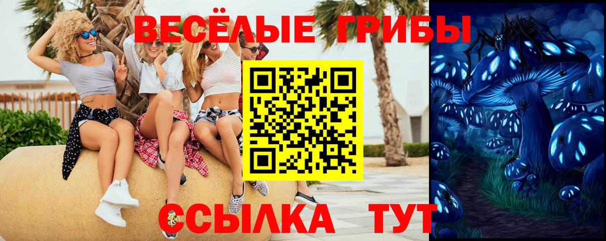 Галлюциногенные грибы GOLDEN TEACHER  Железноводск  дарнет шоп  Псилоцибиновые грибы MAGIC MUSHROOMS 