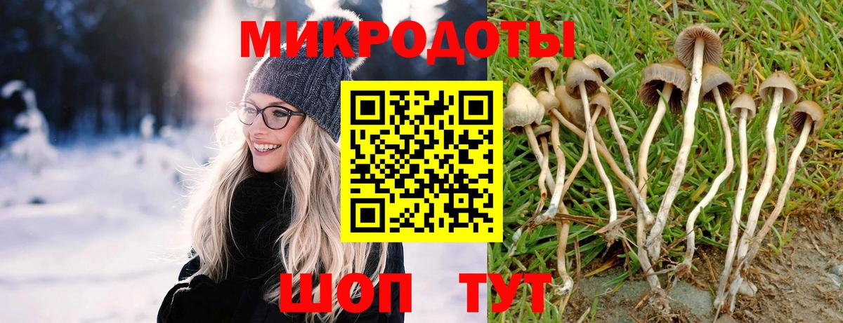 Железноводск  где продают наркотики  Вход с VPN  Псилоцибиновые грибы MAGIC MUSHROOMS 