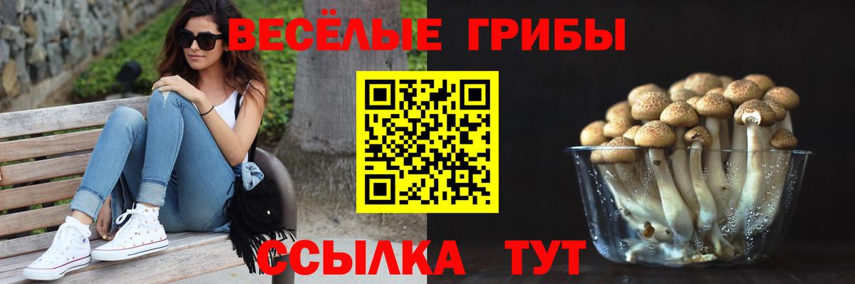 Галлюциногенные грибы Cubensis Железноводск